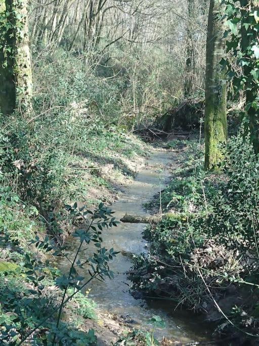 Location Meublee Au Milieu D'Un Ecrin De Verdure Aux Vieux Fours Noaillac ภายนอก รูปภาพ