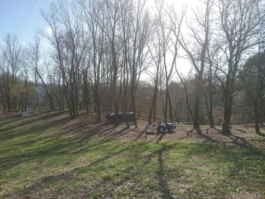 Location Meublee Au Milieu D'Un Ecrin De Verdure Aux Vieux Fours Noaillac ภายนอก รูปภาพ