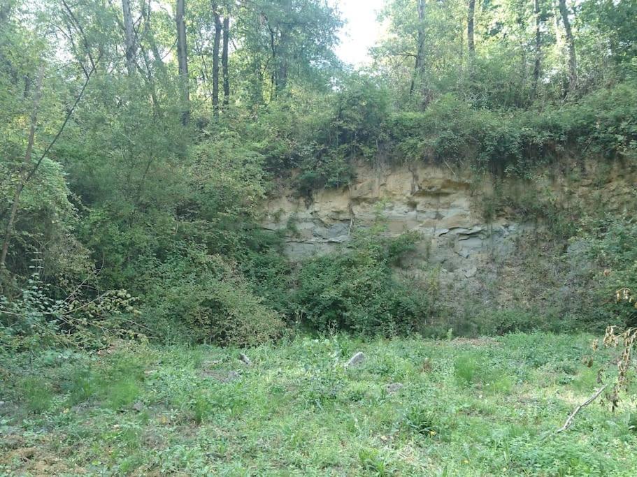 Location Meublee Au Milieu D'Un Ecrin De Verdure Aux Vieux Fours Noaillac ภายนอก รูปภาพ
