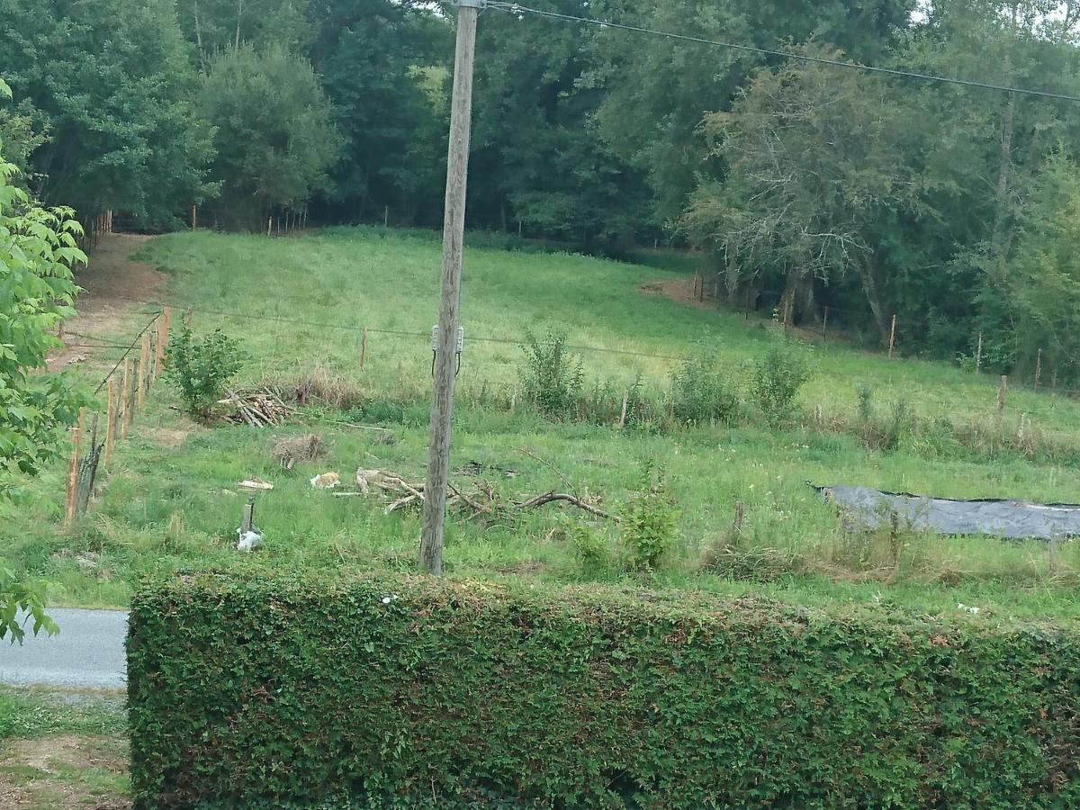 Location Meublee Au Milieu D'Un Ecrin De Verdure Aux Vieux Fours Noaillac ภายนอก รูปภาพ